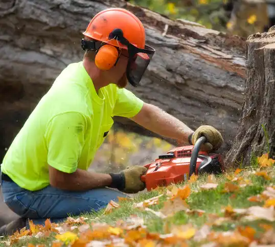 tree services Gamewell